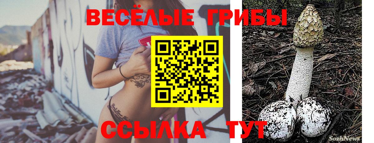 Галлюциногенные грибы Psilocybe  Вход с VPN  Ноябрьск 